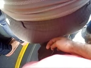罗莎，南方女孩 脂肪性阿姨