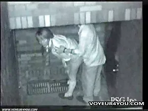 紫狗有惊喜。 性脂肪成熟