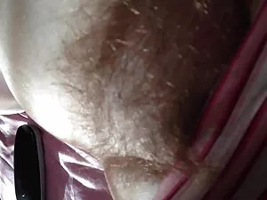 高清性别的视频连接短裤 胖乎乎的尼龙的照 ...